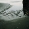 2012-03-03_ MINOLTA α-707si_09