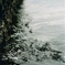2012-03-03_ MINOLTA α-707si_03
