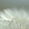 CSC_1102