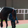 馬その１