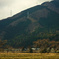 田舎の風景