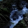 高尾山の渓流