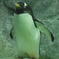 凛々しさとは。