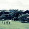 20110730_151030