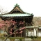 鎌倉・海蔵寺