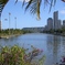 Diamond Head from Ala Wai Canal