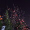 DSCN2056