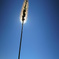 DSCN0523