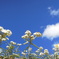 DSCN0565