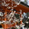 ２月北野天満宮