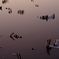 安曇野　夕景　＃2