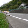 路傍の花
