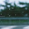 動／静