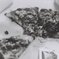 Pizza!!