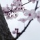 20120229_0012_