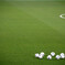 balls on the pitch