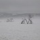 雪の水墨