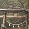 鳥居