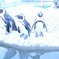 　ペンギン　