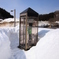 雪の中に