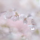 一時預かり所