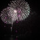 ハワイで見た長岡花火