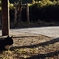 autumn snap1