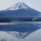 湖畔の。。。