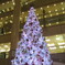 2011．クリスマスツリー