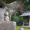 大原　勝林院