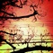Concert of Dead Tree