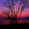 夕景