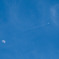 空高く