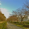 南天魔公園