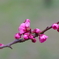 K7__2843