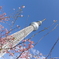 春