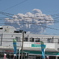 桜島の大噴火