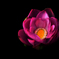 for you