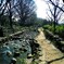 井の頭公園