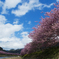 春の歌