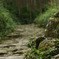 熊野古道　馬越峠