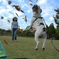 photo_17145