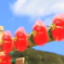 花ぐるま