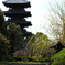 春の京都