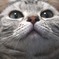 どアップ