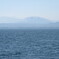 IMG_0389