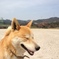 にっこりえがお