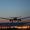 Airplane!