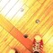 足元の足跡