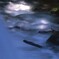 木漏れ日の流れ